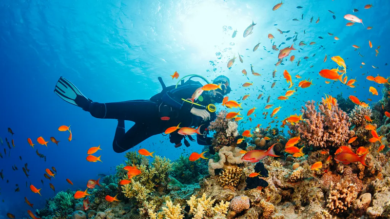 مهاجرت قبرس شمالی | خرید ملک قبرس شمالی | اقامت قبرس شمالی | سرمایه گذاری قبرس شمالی | Deep Dive Diving Center – مرکز غواصی دیپ دایو