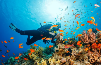 مهاجرت قبرس شمالی | خرید ملک قبرس شمالی | اقامت قبرس شمالی | سرمایه گذاری قبرس شمالی | Deep Dive Diving Center – مرکز غواصی دیپ دایو